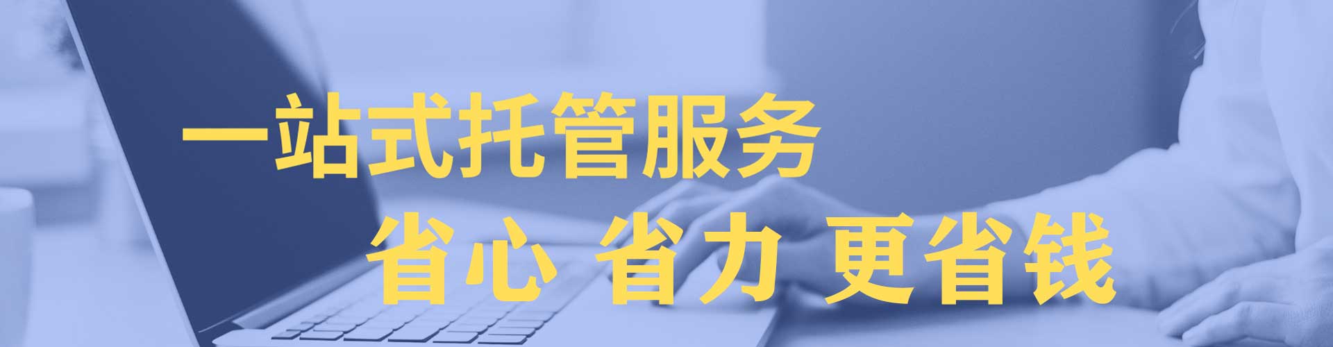 金阳sem代运营
